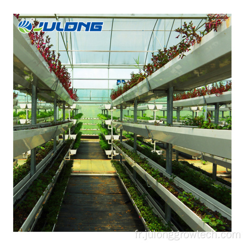 Système hydroponique Légumes PC Greenhouse